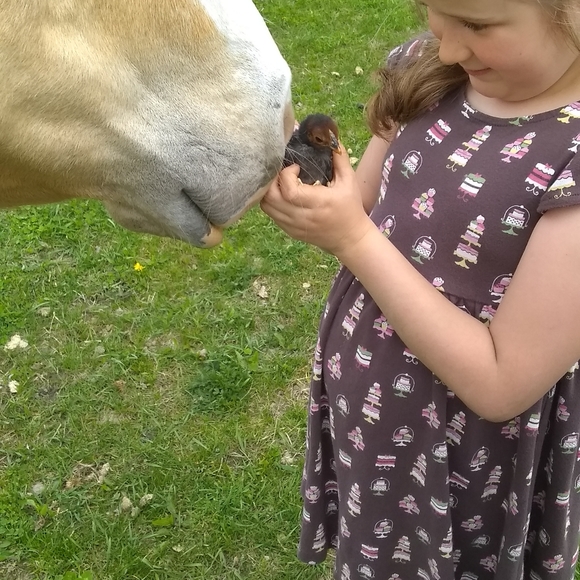 Meet your Posher, Christine - Picture 10 of 12